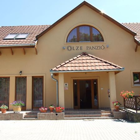 לינה וארוחת בוקר Erdőbénye Olze Panzio מראה חיצוני תמונה